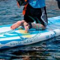 Надувной сапборд FunWater Polar Bear 10'6